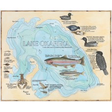 Lake Okareka Map