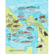 Tauranga Harbour Map