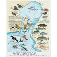 Wellington Harbour Map
